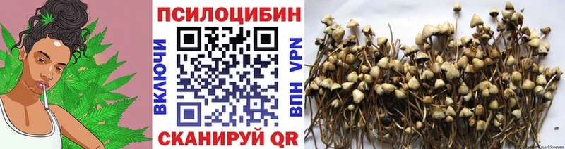 Псилоцибиновые грибы ЛСД  Бобров 